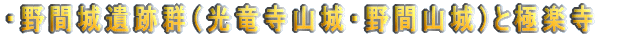 RÕQƓ߉ςӂꂠ